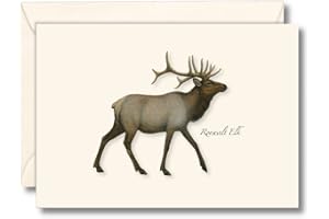 Earth Sky + Water - Roosevelt Elk Notecard Set - 8 Blank Cards with Envelopes