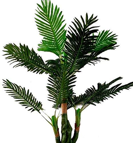 Buy Sktm Handloom Udyog Natural Palm Tree Green Plant Home