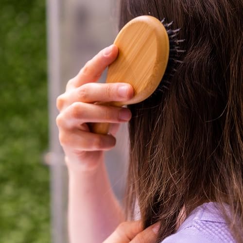 Woodlife® – Dúo de Cepillos Mini Ovalados de Bambú con Cerdas Naturales de Jabalí | Estimula el Folículo Piloso y Favorece el Crecimiento del Cabello.
