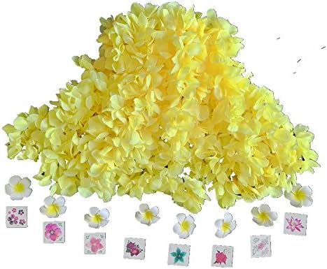 Ranavy Hawaiian Leis Bulk Pack Of 8 For Luau Party Decorations -Silk Hawaiian Flower Necklace With Flower Hair Clips And Tattoos