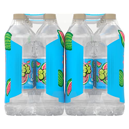 Splash Blast, Watermelon Flavored Water, Zero Sugar, with Electrolytes, 16.9 Fl Oz, 24 Pack