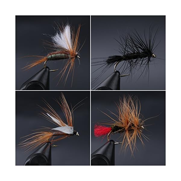 Maxcatch-Dry-Wet-Nymph-Fly-Fishing-Flies-Kit-Assortment-Fly-Fishing-Lure Maxcatch-Dry-Wet-Nymph-Fly-Fishing-Flies-Kit-Assortment-Fly-Fishing-Lure