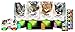 Purina Pro Plan Grain Free Wet Cat Food Pate, Chicken and Liver Entree - (24) 3 oz. Pull-Top Cans