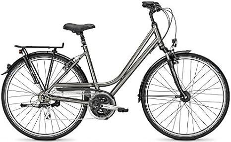 raleigh oakland bike