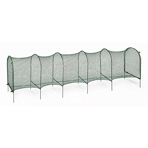 Kittywalk Outdoor Net Cat Enclosure For Lawns Buy Online In Uae