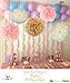 Tissue Paper Pom Poms Neutral Pink Gold Decorations - 9 Pcs 14