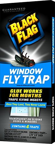 Black flag window fly trap(2pack)