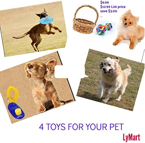 Dog toys Value 4 Pack Interactive Dog Toys for your Puppy,Small Dogs and Medium Dogs. GIVE YOUR DOG A WAY TO RELEASE HIS ENERGY with this amazing value of Durable Dog Chew toys.