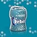 Orbit Wintermint Sugarfree Gum, 55 Piece Bottle (4 Packs)