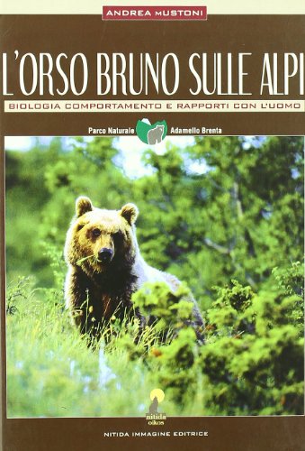 L'orso bruno sulle Alpi