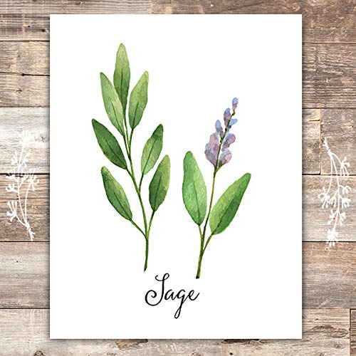 Kitchen Herbs Art Prints (Set of 6) - Unframed - 8x10s | Botanical Prints Wall Art - Thumbnail 3