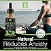 Best Hemp Seed Oil for Pain Relief - Natural Hemp Oil Extract Drops for Anxiety and Sleep | Hemp Oil for Stress and Anti-inflammatory Relief | 250 mg of Hemp Oils