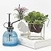 Plant Mister, Decorative Glass Water Spray Bottle with Top Pump Vintage Style Small Watering Can by Ebristar - Blue
