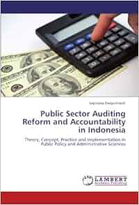 Amazon Com Public Sector Auditing Reform And