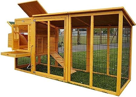 best cat dental food