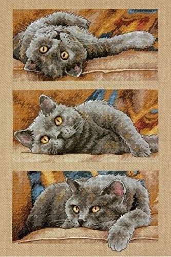 Dimensions MAX THE CAT, Cotton, 10 Inches x 15 Inches, Beige