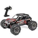 DM 1: 16 Scale RC Cars for Kids & Adults, 36km/H High Speed 4WD Remote Control Truck, 2.4Ghz Radio Controller, Radio Controlled Electronic Cars, Waterproof Off-Road RC Trucks, White