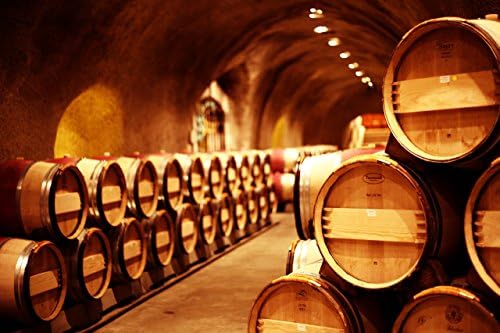 Photo Art Print--Bountiful Wine Cave