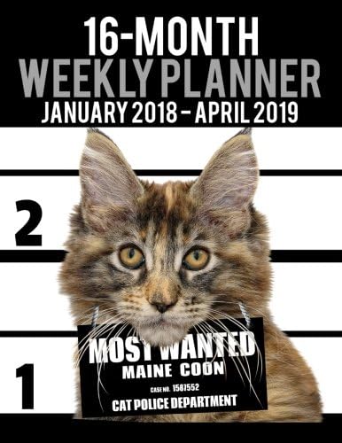 2018-2019 Weekly Planner - Most Wanted Maine Coon: Daily Diary Monthly Yearly Calendar Large 8.5" x 11" Schedule Journal Organizer: Volume 12 (Cat Planners 2018-2019) Paperback – Large Print, 24 Nov 2017