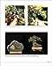 Majesty in Miniature : Shohin Bonsai: Unlocking the Secrets of Small Trees
