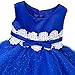 GloryStar Girl's Bubble Skirt Lace Flower Princess Dress