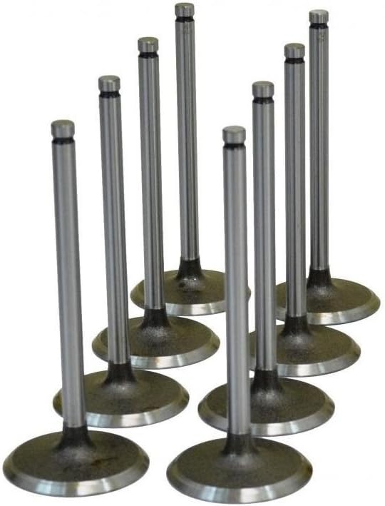 Amazon Com Chevy Gmc 350 5 7 5 7l Vortec Intake Valves Set Of 8