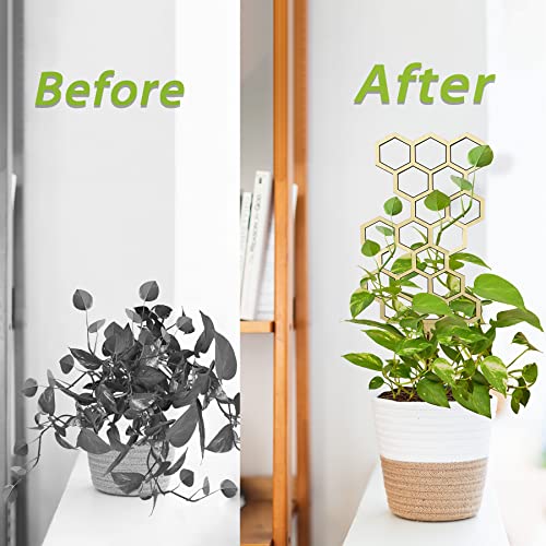 Indoor Small Plant Trellis 23'' Shape Trellis for Climbing Plants, Sturdy Houseplant