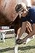 Oster Equine Care Series 7-Piece Grooming Kit (0-34264-42130-1