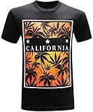 California Republic Sunset Men's T-Shirt - (Large) - Black