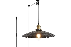 Oyisen Plug in Hanging Light Rustic Black 13.8 Inch Lampshade with 13.2ft Cord Bar Counter Hanging Lamp Plug in On/Off Switch Pendant Light