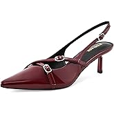 PODAIK Kitten Heels for Women Pointed Toe Pumps Low Heel Buckle Slingback Heels Wedding Dress Shoes