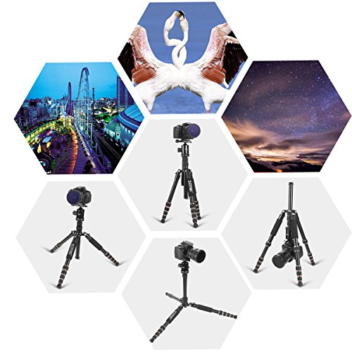 ZOMEI Z699 Magnesium Aluminum Alloy Travel Camera Tripod with Ball Head for Canon,Sony,DSLR