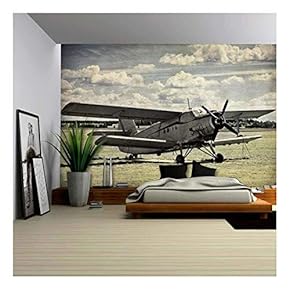 Old Aircraft, Vintage Background - Removable Wall Mural | Self-Adhesive Large Wallpaper - 66x96 inches