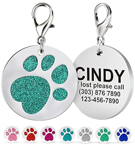 Joytale Personalized Dog Tags Engraved for Pets, Stainless Steel
