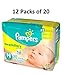 Pampers Swaddlers (Newborn) 240 count