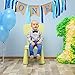 Maxdot 1 Set Baby First Birthday Banner 1st Birthday Boy Decorations Chair Burlap with 6 Pack Paper Pom Poms Flowers, 10 Inches