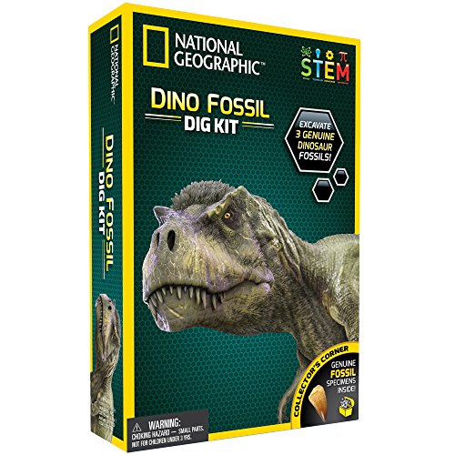 image for NATIONAL GEOGRAPHIC Dino Fossil Dig Kit - Excavate 3 real fossils incl