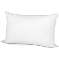15 by 15 pillow insert