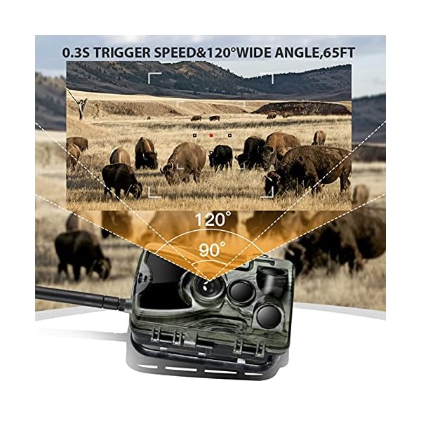 1800Mah 9V Solarpanel Tragbare Mit 4G Wildkamera Jagdkamera Nachtsicht Und 32GB SD Card 16MP 1080P 0,3S Bewegungsmelder… – Bild 5