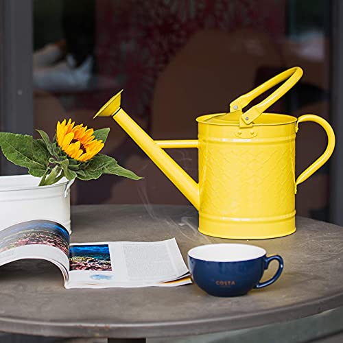 HORTICAN 1 Gal Galvanized Steel Watering Can Decorative Farmhouse Style Watering Can, Removable