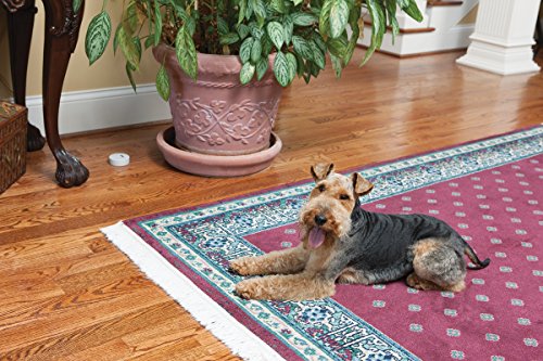 PetSafe Pawz Away Pet Barriers with Adjustable Range, Pet Proofing for Cats and Dogs, Static Stimulation