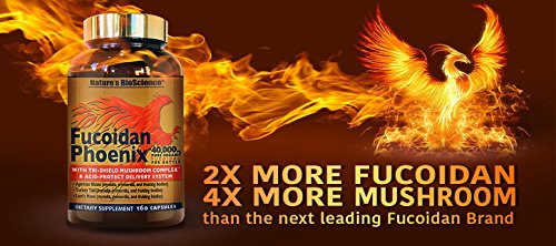 Nature's Bioscience ® FUCOIDAN Phoenix Advanced: 40,000 mg of Pure Organic Fucoidan + 64,000 mg of Pure Mushroom