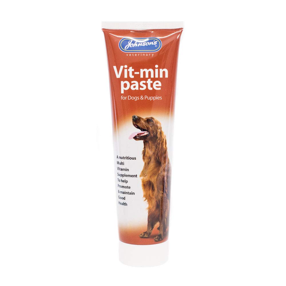 Johnsons Vit-Min Paste Dogs 100gm