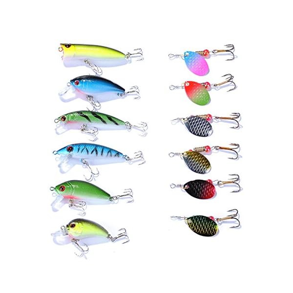 DrFish-Assortted-5-Lure-Boxes-Loaded-60-Bass-Fishing-Baits-Spinners-Rooster-Tail-Trout-Spoons-Soft-Plastic-Shads-Crankbaits-Minnow-Popper-Lures-Variety-Kit