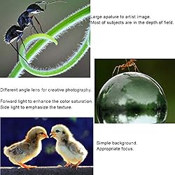 Mcoplus Extnp Auto Focus Macro Extension Tube Set