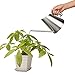 IMEEA Watering Can Indoor SUS304 Stainless Steel Watering Can for Indoor House Plants Long Spout, 30oz / 900ml