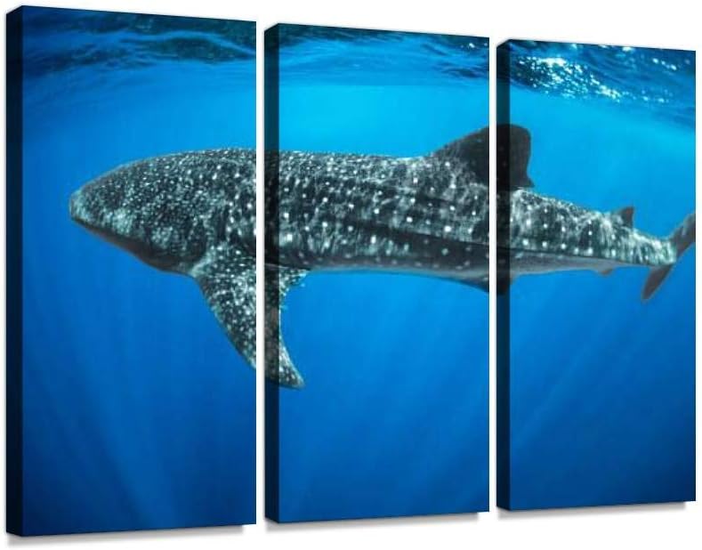BELISIIS Whale Shark Wall Artwork Exclusive Photography Vintage Abstract Paintings Print on Canvas Home Decor Wall Art 3 Panels Framed Ready to Hang