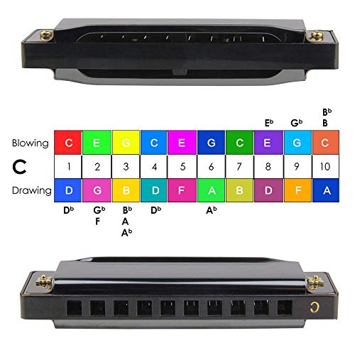 1 Harmonica+Diatonic+Beginners+Professional+Polishing