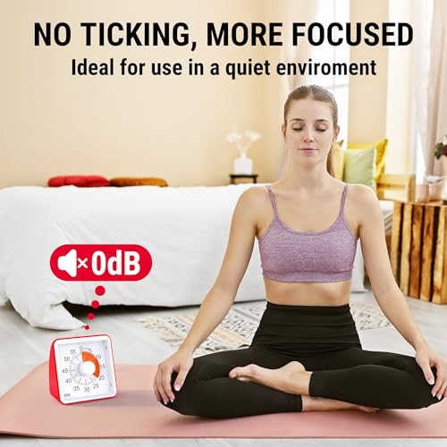 ThermoPro TM021 Kids Visual Countdown Timer 60 Minute Timer with Mute/Alarm Mode, Large Digits - Time Management Tool for Concentration, Batteries Included