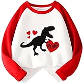 Kids Valentines Day Shirt Boys Girls Valentine's Monster Truck Dinosaur Heart Graphic Tees Raglan Toddler Long Sleeve Tops
